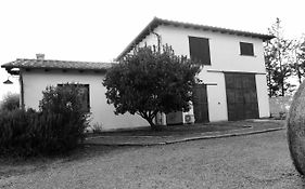 Orti di Capalbio